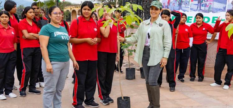 Rioverde avanza en La Reforestación 