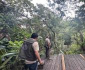 Le cierren tirolesas a Adventureland