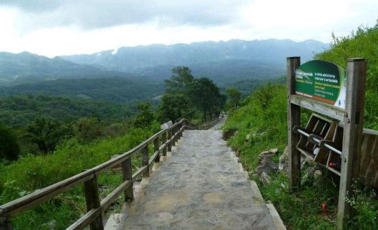 Disminuyó la afluencia de visitantes en "El Sótano"