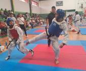 Gran evento de taekwondo 