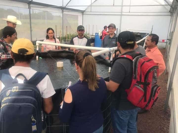 Impulsaron producción de peces con un taller