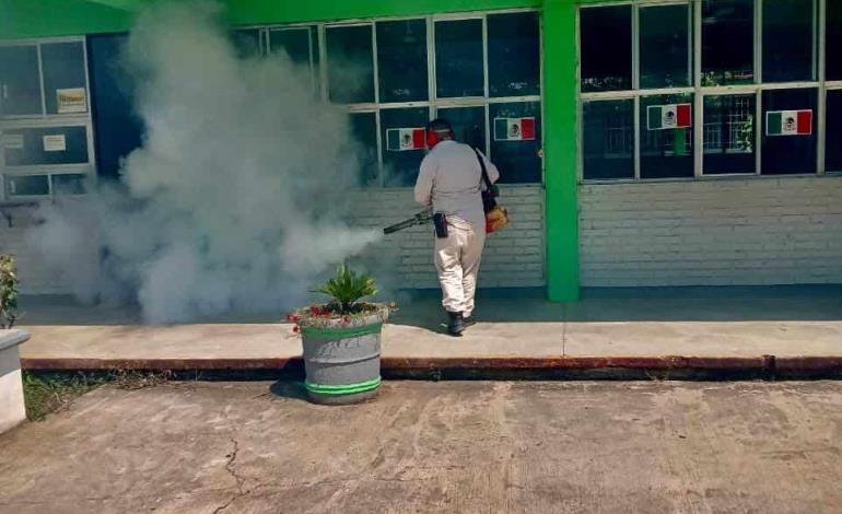 Realizaron fumigación en escuelas