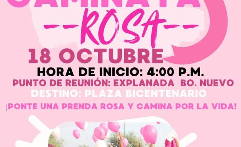 Invitan a participar en la caminata Rosa 