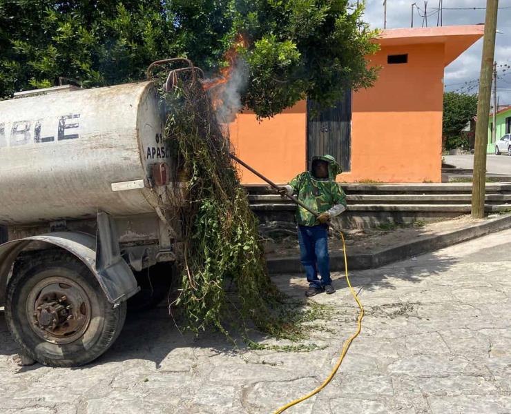 Ataque de abejas deja dos heridos
