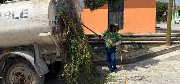 Ataque de abejas deja dos heridos