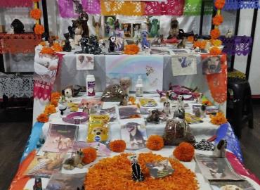 Preparan un altar para las mascotas 