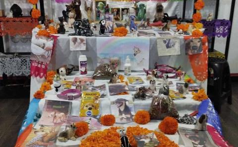 Preparan un altar para las mascotas 
