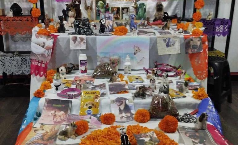 Preparan un altar para las mascotas 