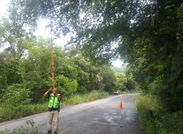 Retira PC ramas de los árboles en carretera estatal