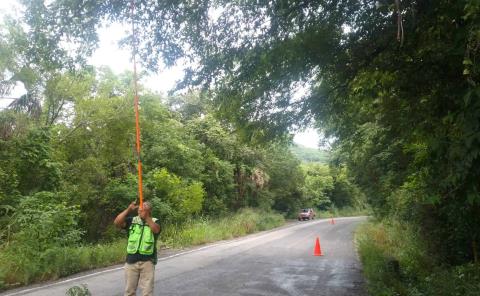 Retira PC ramas de los árboles en carretera estatal