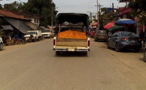 La naranja, el producto que mantiene la economía estable