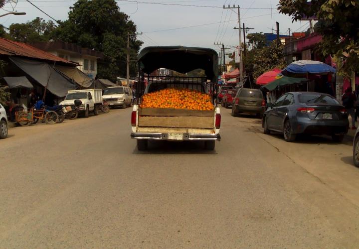 La naranja, el producto que mantiene la economía estable