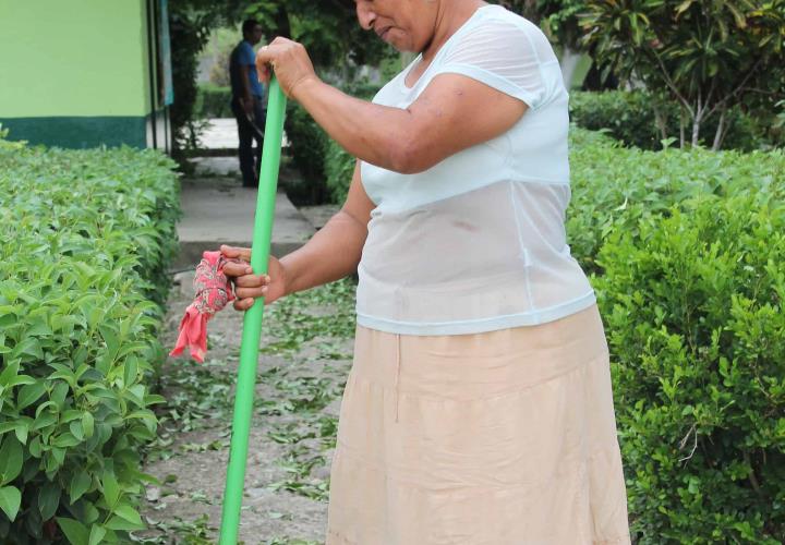 SSH invita a seguir medidas de protección personal para evitar contagios de dengue