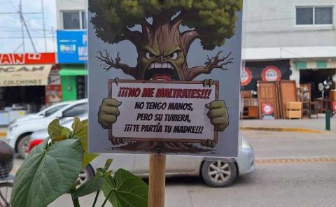 Comerciante promueve El cuidado de los arboles 
