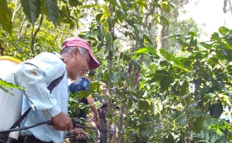 Promueven capacitación para cafeticultores