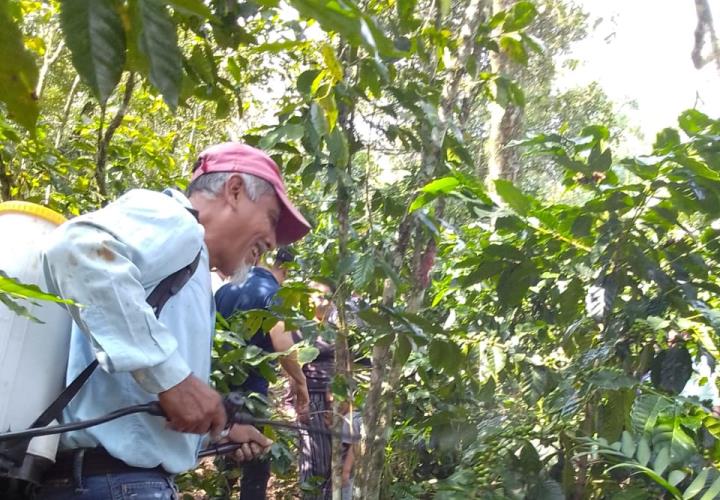 Promueven capacitación para cafeticultores