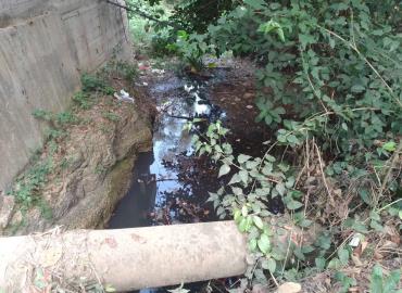 Agua estancada en arroyos genera focos de infección