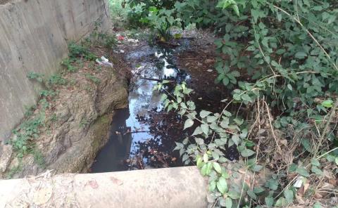 Agua estancada en arroyos genera focos de infección