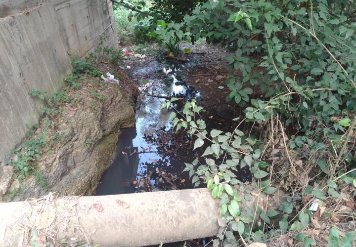 Agua estancada en arroyos genera focos de infección