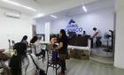 Hasta el 15 operará módulo del SAT