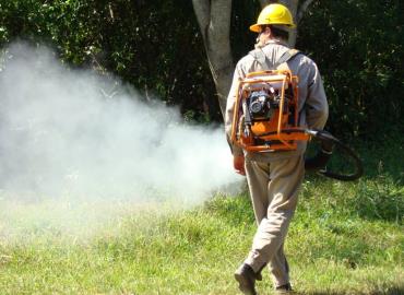 Realizan fumigaciones