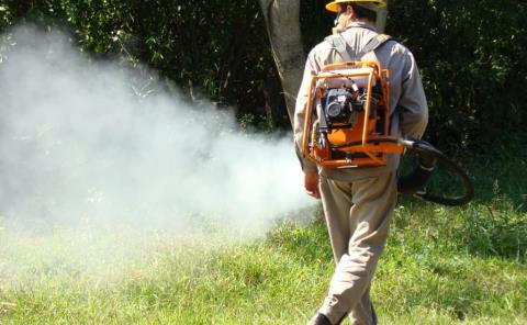 Realizan fumigaciones