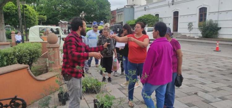 Van más de 5 mil árboles donados