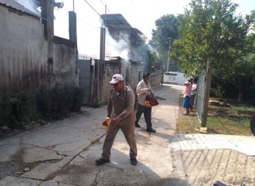 Continúa fumigación en San Martín