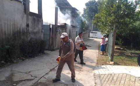 Continúa fumigación en San Martín