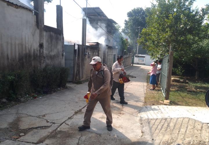 Continúa fumigación en San Martín