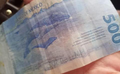 Dinero falso sigue circulando en el comercio