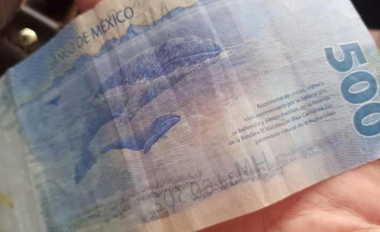 Dinero falso sigue circulando en el comercio