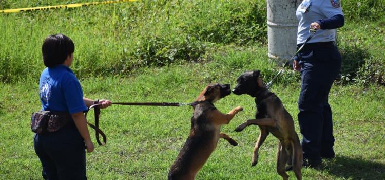 Instruyen perros en  búsqueda y rescate