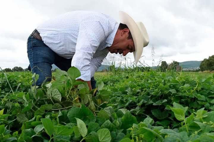 Agricultura regenerativa  