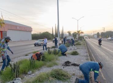 DIF encabezó jornada de limpieza y reforestación 