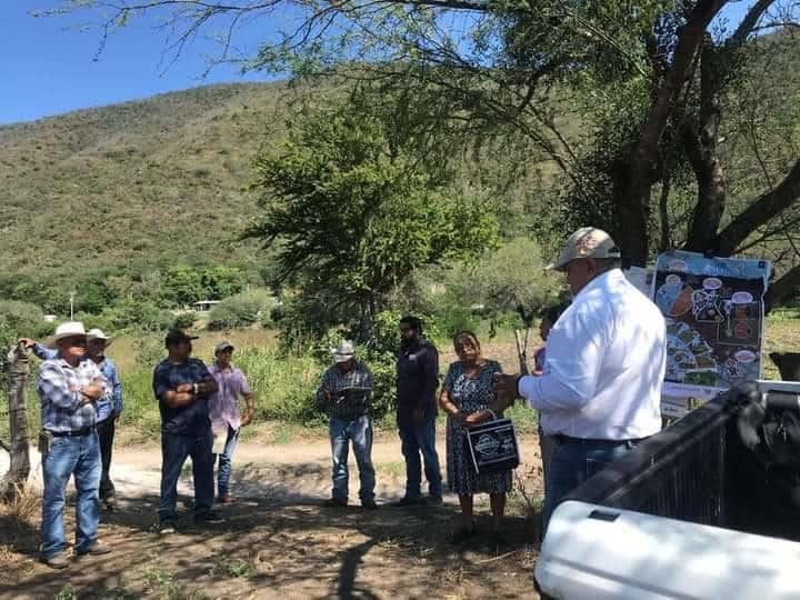 Agrotóxicos dañan mucho al ambiente 