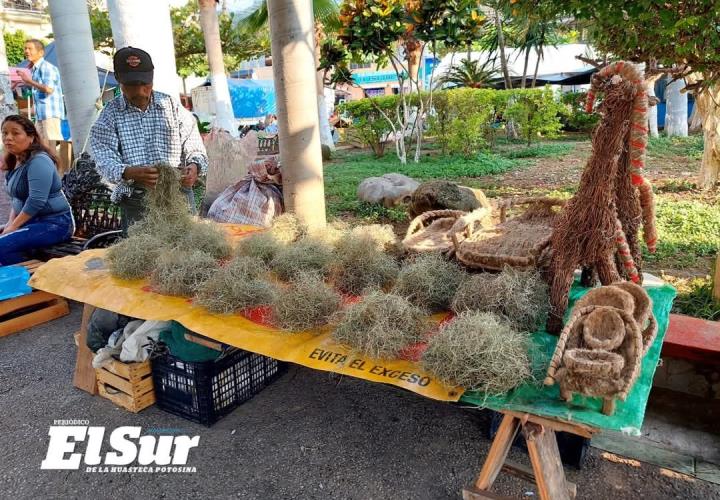 70 artesanos venderán musgo y heno en la Plaza