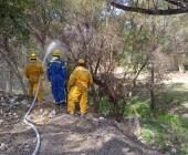 Quemazón movilizó a   cuerpo de bomberos 