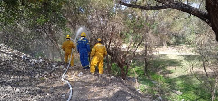 Quemazón movilizó a   cuerpo de bomberos 