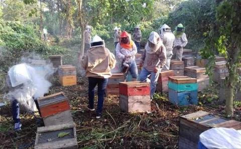 Importante trabajar en la reforestación
