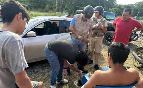 Atropellado sobre la carretera estatal Tamazunchale-San Martín