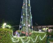 Realizaron 1er encendido de árbol en La Lomita