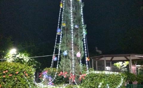 Realizaron 1er encendido de árbol en La Lomita
