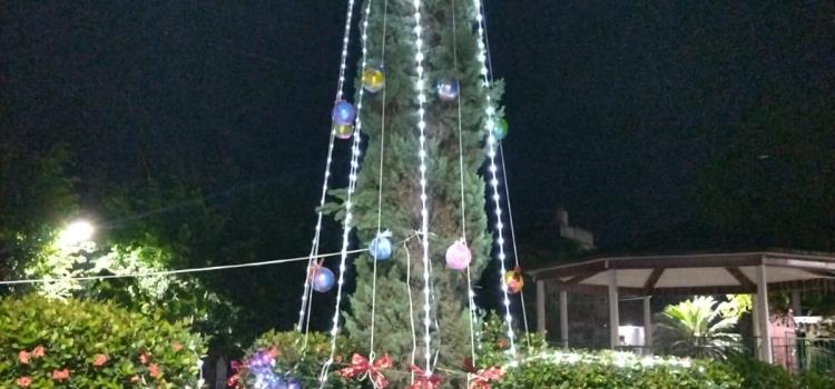 Realizaron 1er encendido de árbol en La Lomita