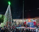 Alumnos participaron en encendido de árbol