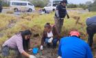 Hallaron restos óseos en Laguna del Mante
