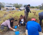 Hallaron restos óseos en Laguna del Mante