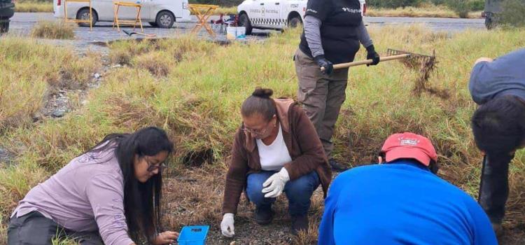 Hallaron restos óseos en Laguna del Mante