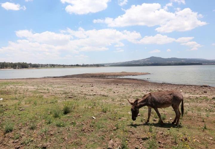 Habrá sequía intensificada 