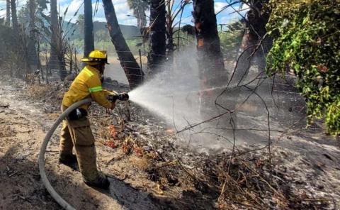 Bomberos exhortaron a prevenir incendios 
